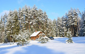 Tõrvaaugu Holiday Homes